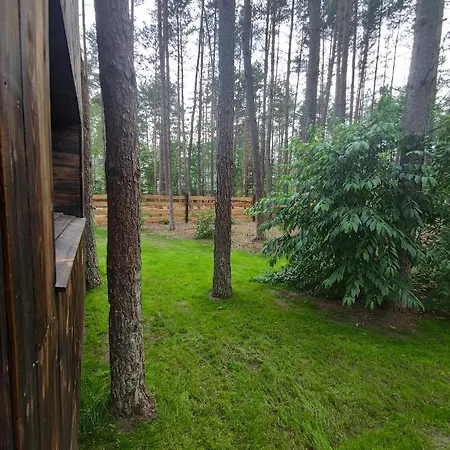 Domek Lubiana180 Scandi Wsrod Drzew Jacuzzi Taras Na Dachu Jezioro Kaszuby Pieski Tylko Do 10Kg Za Dodatkowa Oplata Grzybowo  Exterior photo