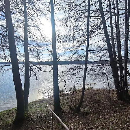 Domek Lubiana180 Scandi Wsrod Drzew Jacuzzi Taras Na Dachu Jezioro Kaszuby Pieski Tylko Do 10Kg Za Dodatkowa Oplata Grzybowo  Exterior photo