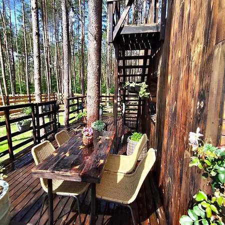 Lesny Domek W Stylu Scandi Z Jacuzzi Nad Jeziorem Kaszuby Grzybowo  Exterior foto