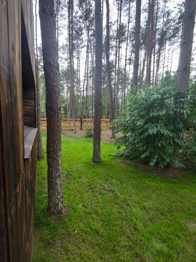 Lesny W Stylu Scandi Z Jacuzzi Nad Jeziorem Kaszuby Holiday home Grzybowo (Pomerania)