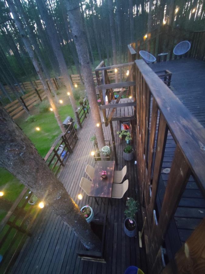 Lesny W Stylu Scandi Z Jacuzzi Nad Jeziorem Kaszuby