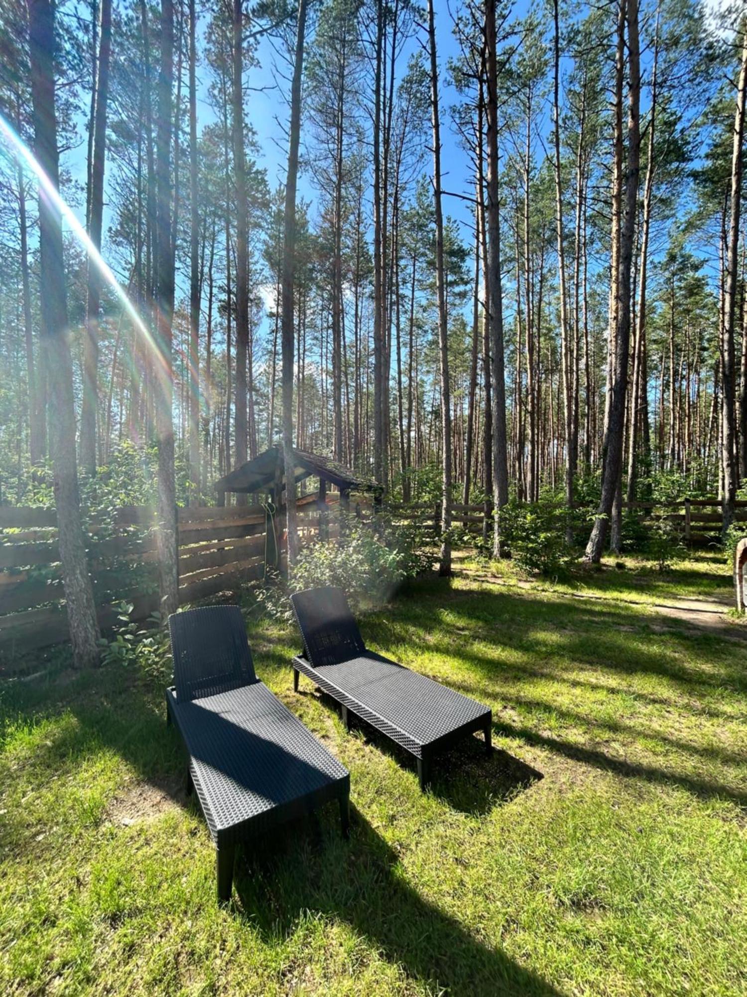 Lubiana180 Scandi Wsrod Drzew Jacuzzi Taras Na Dachu Jezioro Kaszuby Pieski Tylko Do 10kg Za Dodatkowa Oplata Holiday home Grzybowo (Pomerania)